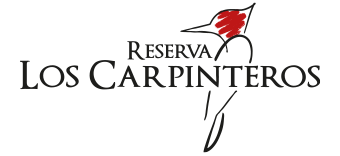Reserva Carpinteros - Valle las Trancas