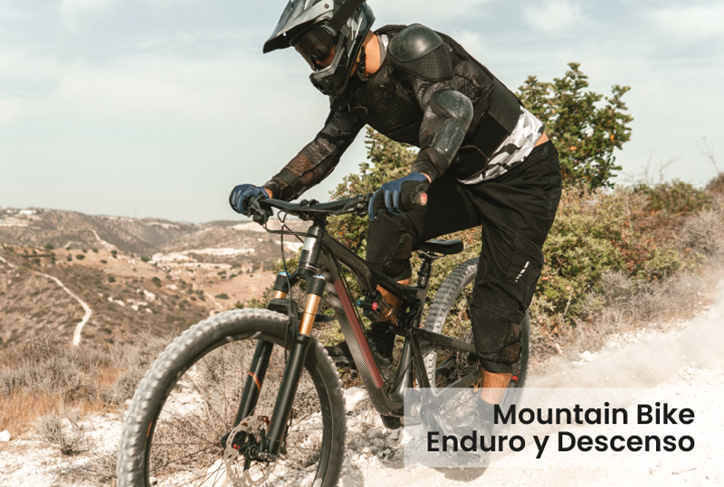 Mountain Bike Enduro y Descenso